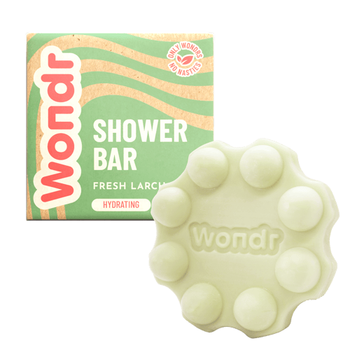 Shower box+bar-LARCH
